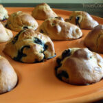 Blueberry Muffins