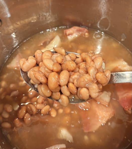 Plain and Simple Pinto Beans