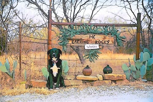 Barking Rocks Winery 