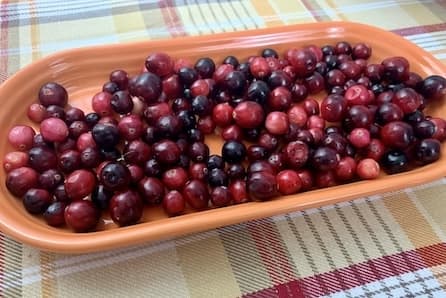 Fresh Cranberries in Fiestaware