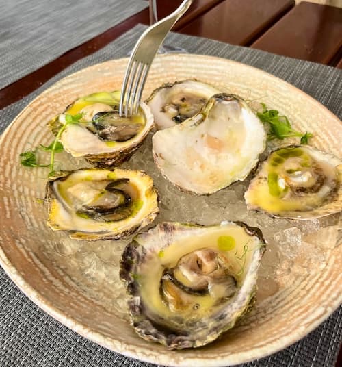 Raw Texas Oysters